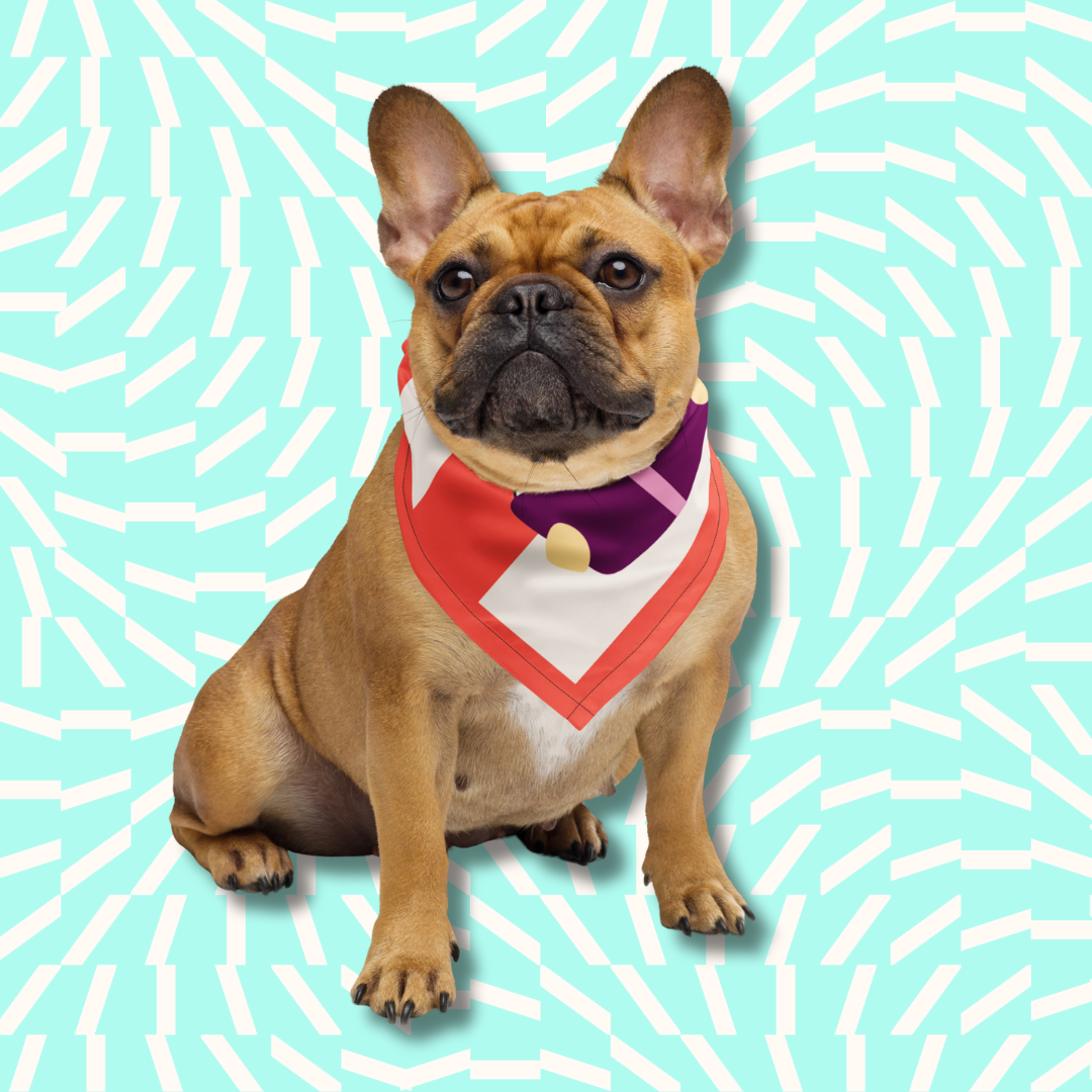 Pet Products